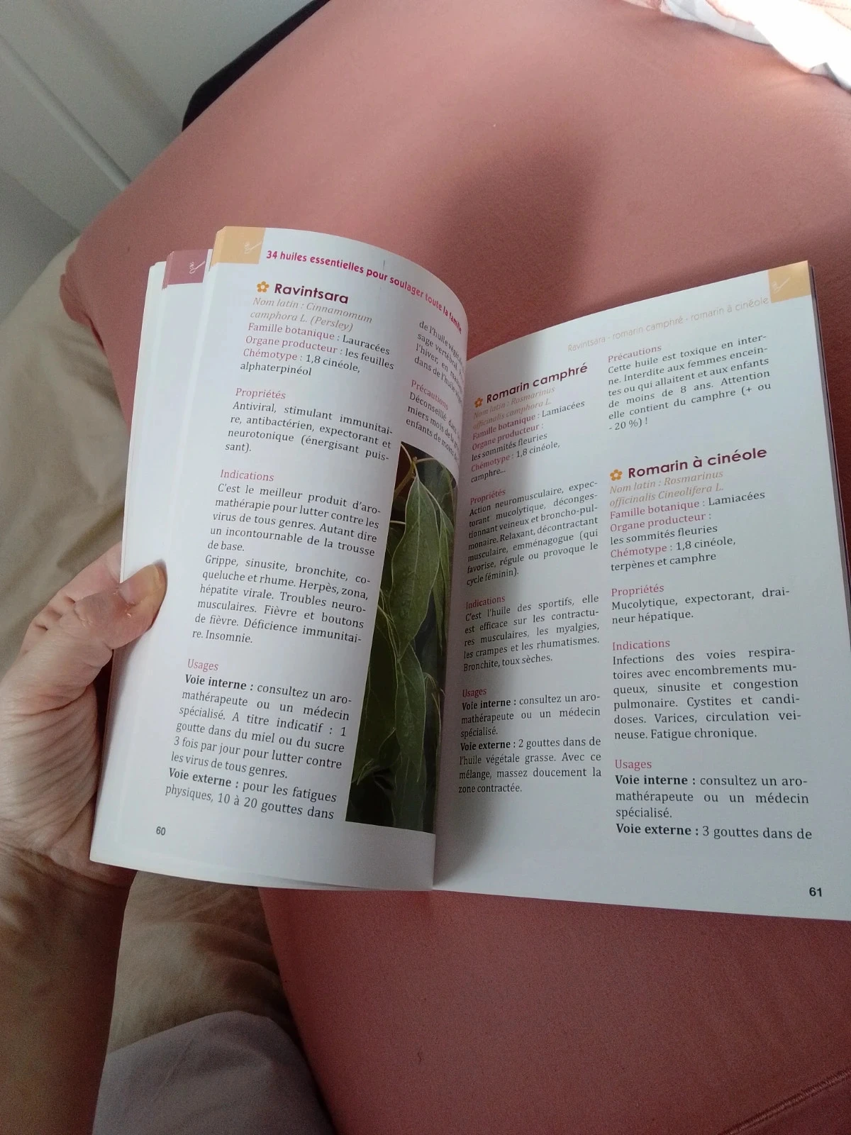 Descubriendo los aceites esenciales – photo 4